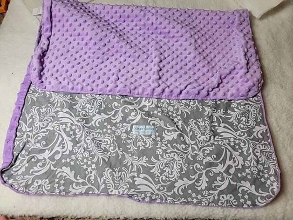 Canopy Couture Car seat Cover / Minky Blanket Purple Gray